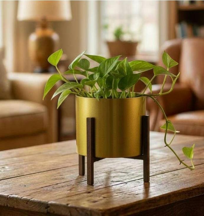 Iron pot with stand gp2 GP2