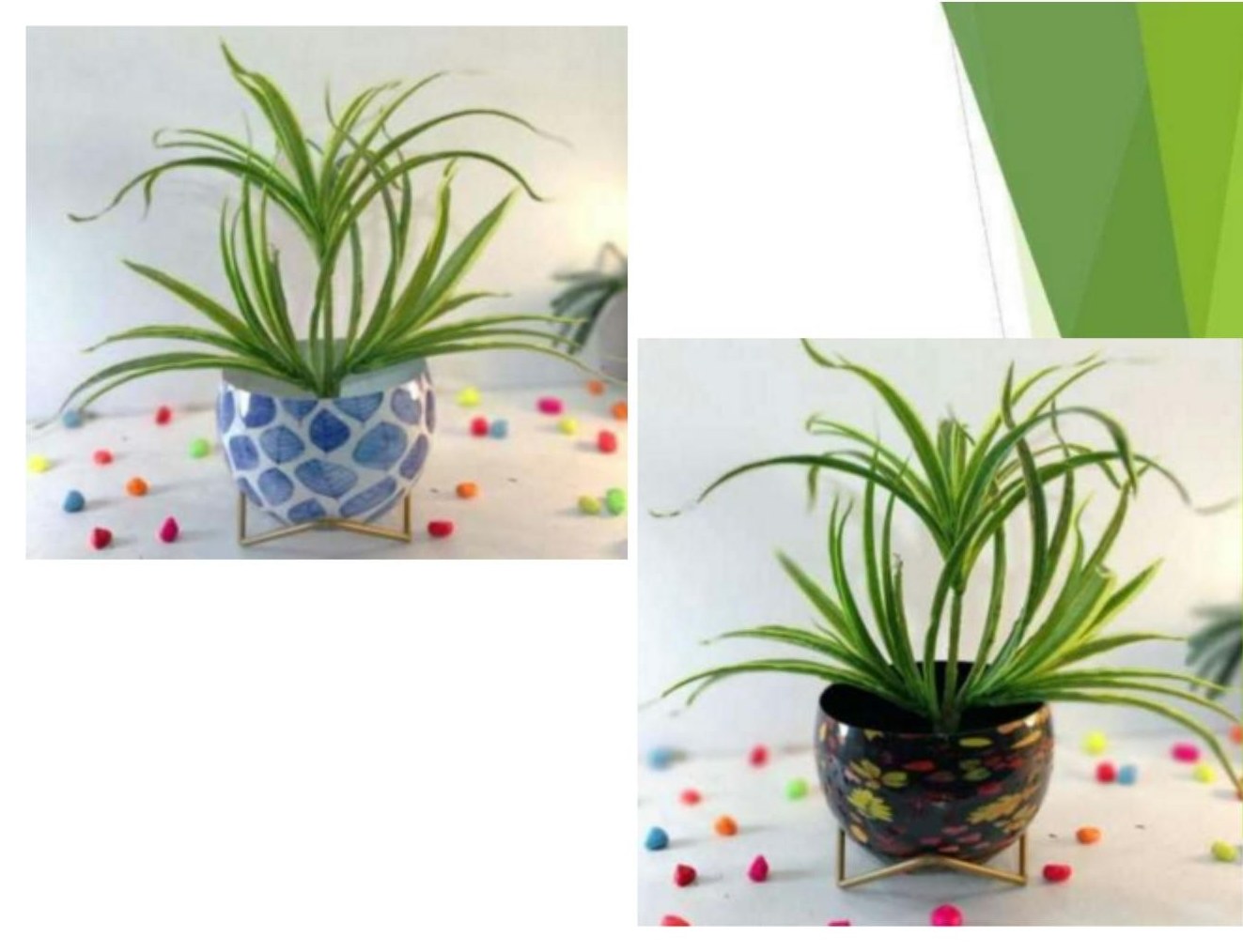 Lavender pots 1321A