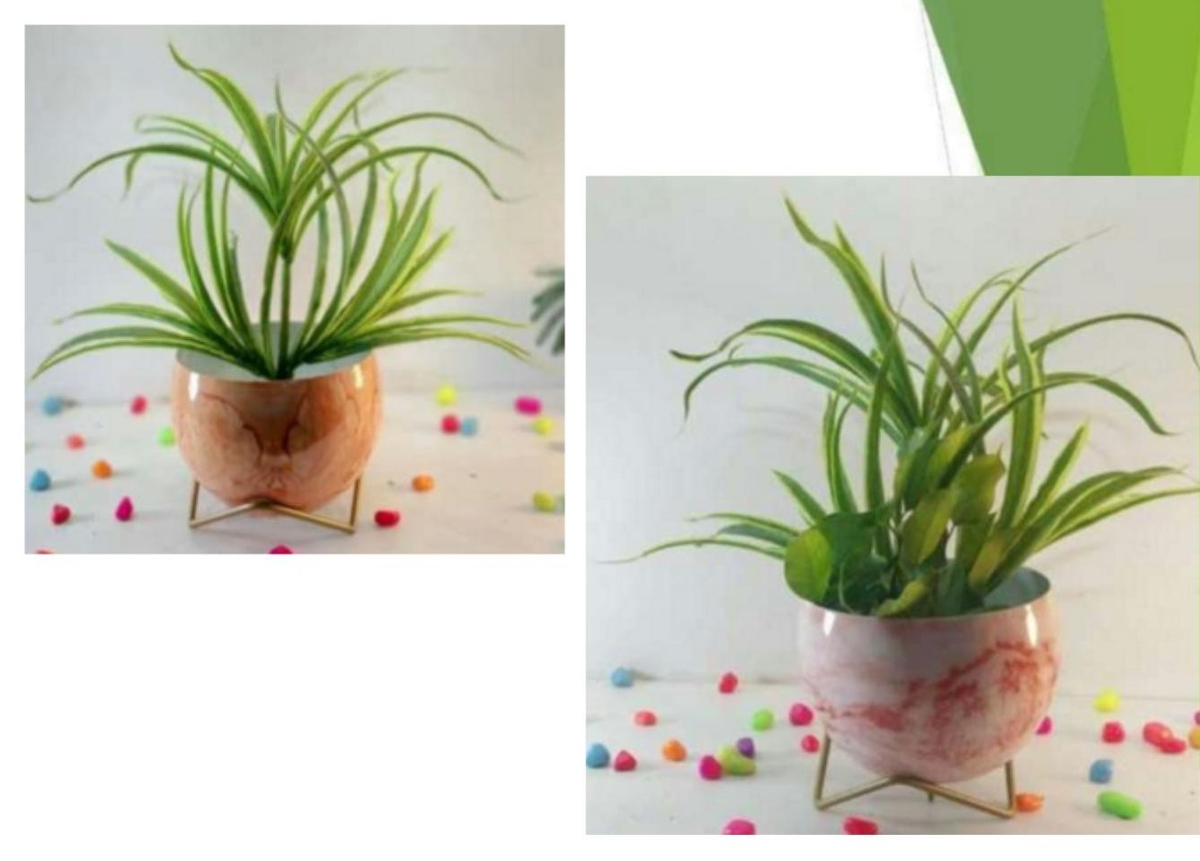 Lavender pots 1321G