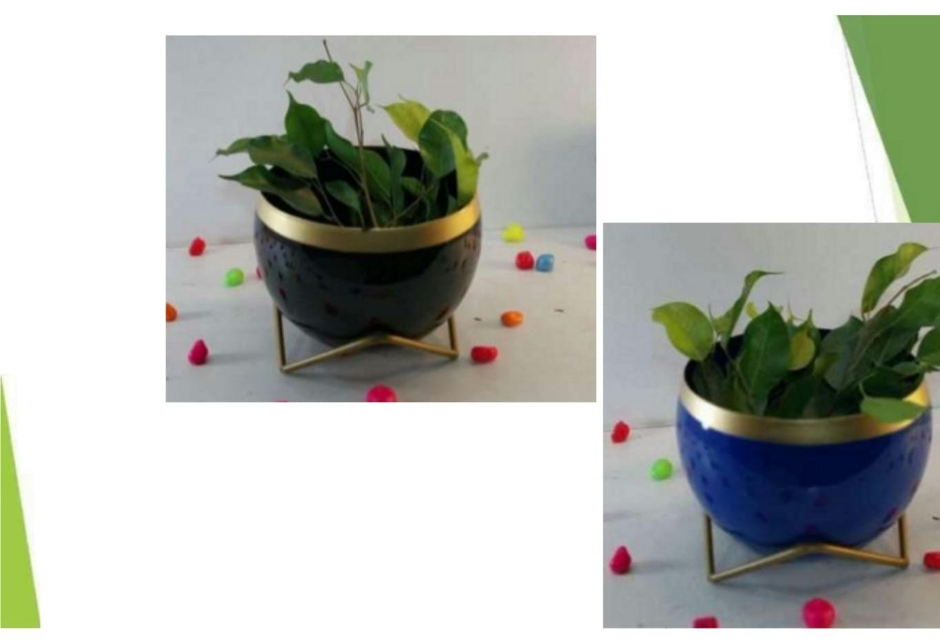 Lavender pots 1321I