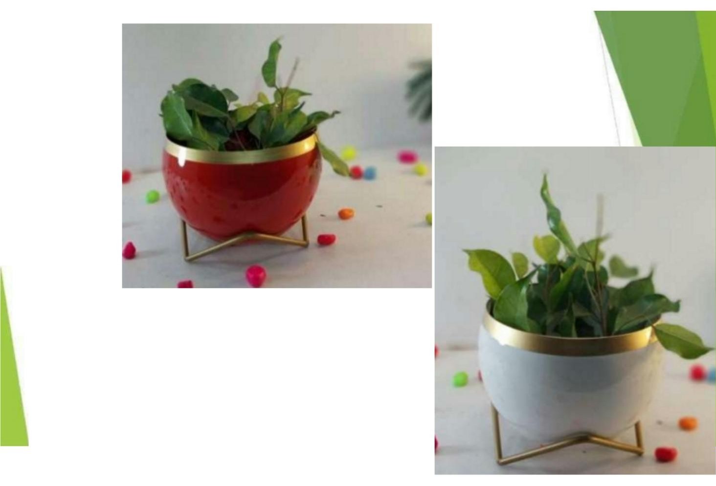 Lavender pots 1321K