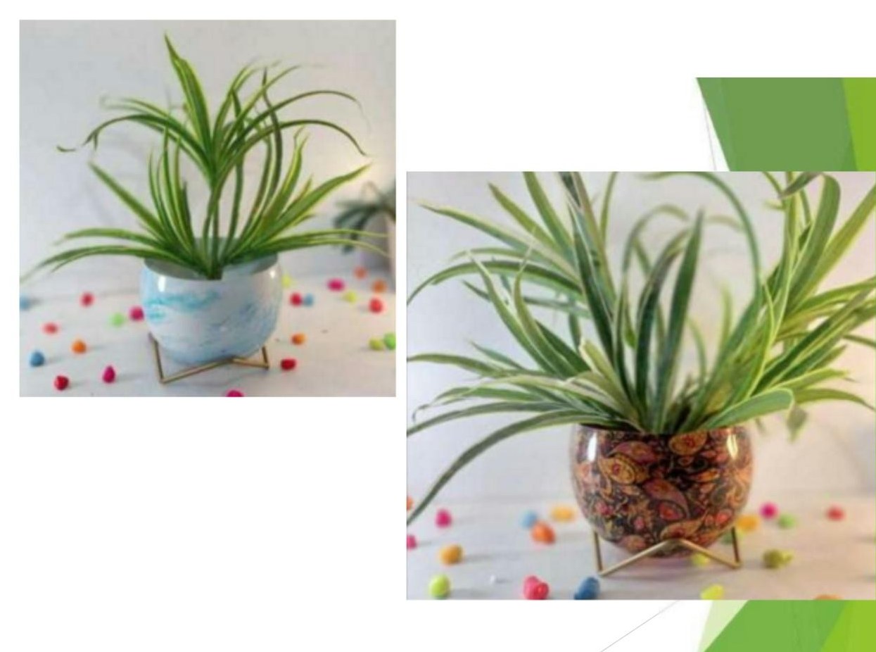 Lavender pots 1321MN