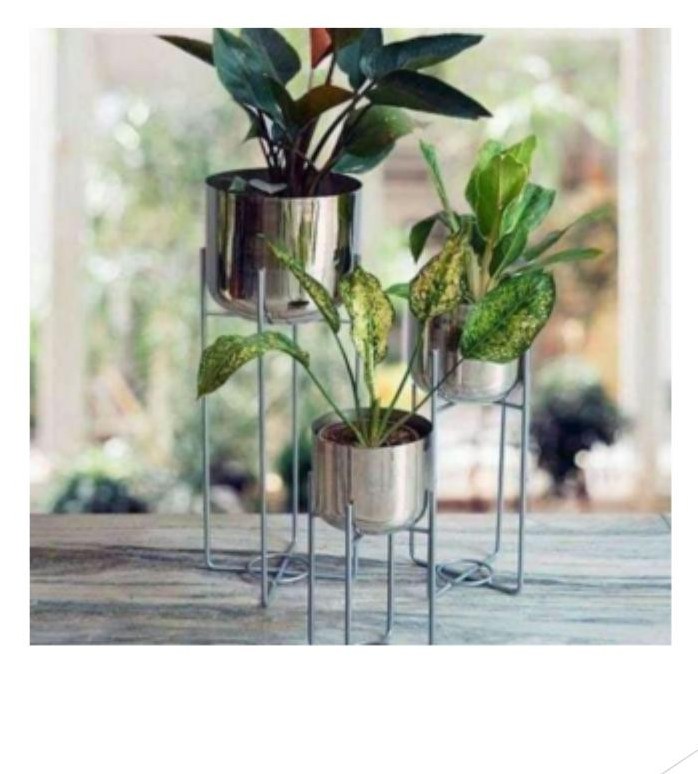 Silver pot withsilver stand set of 3 1000