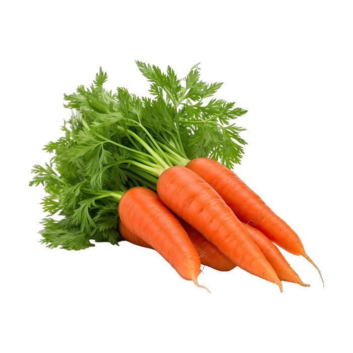 Carrot (গাজৰ)