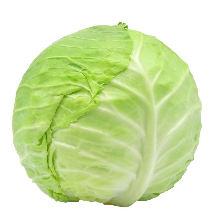 Cabbage đĨŦ āĻŦāύā§āϧāĻžāĻāĻŦāĻŋ 8-1kg