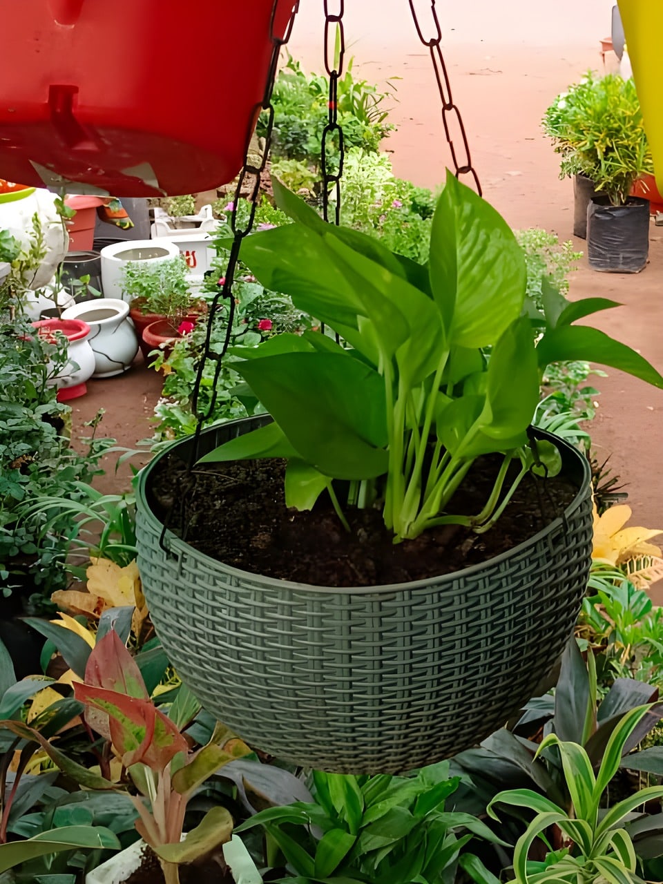 Hanging Basket Planter - Small