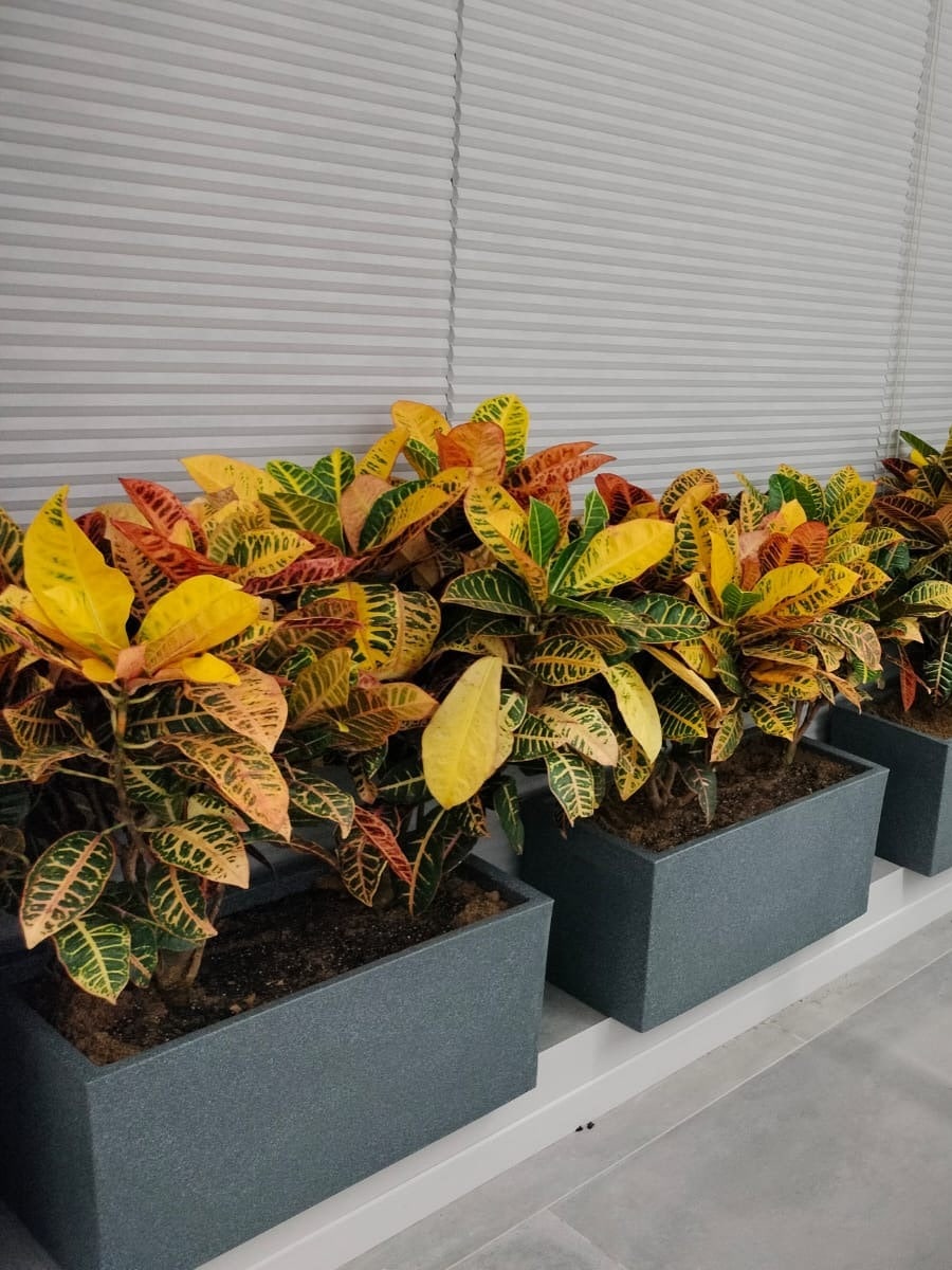 Stone Finish Rectangle Planter