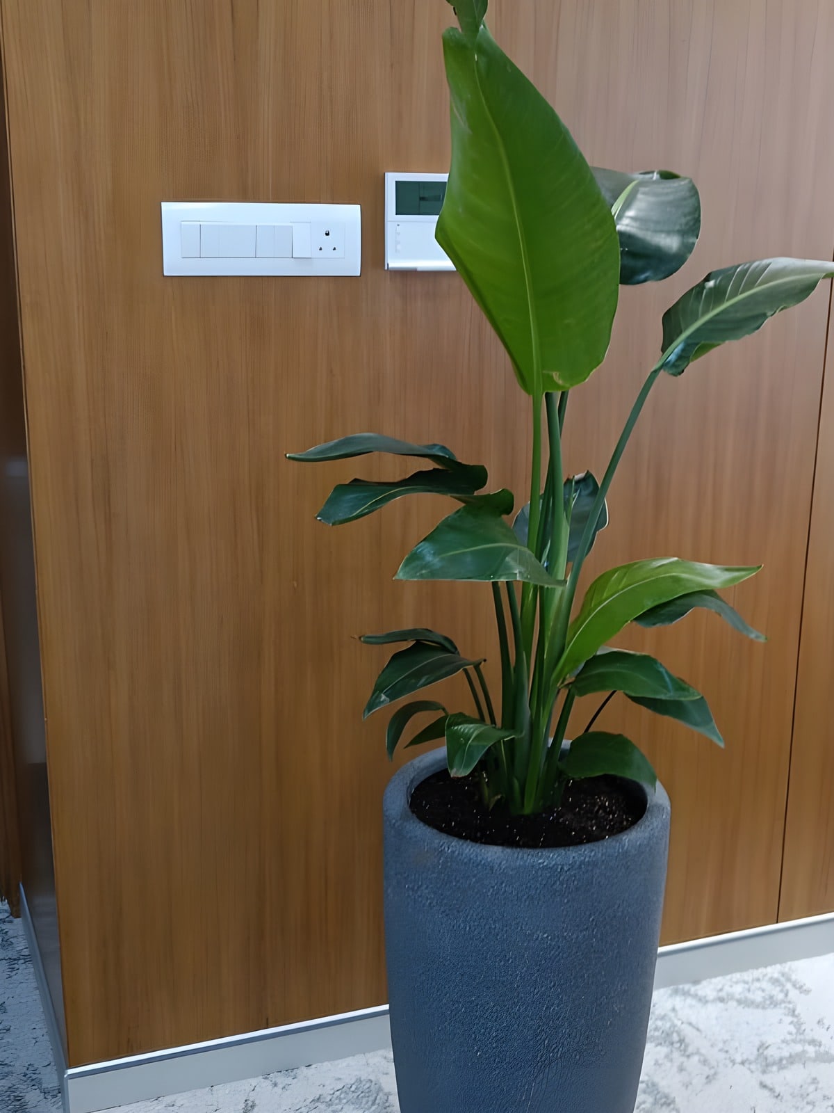 Tall Cylinder Floor Planter