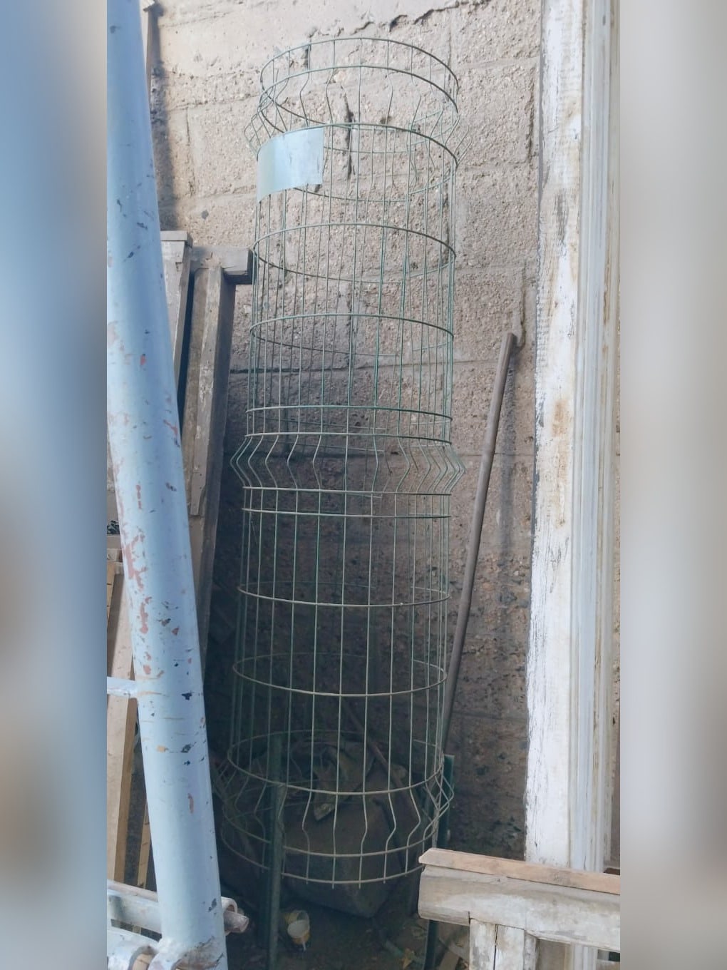 Plant Support Cage (Tomato Cage)