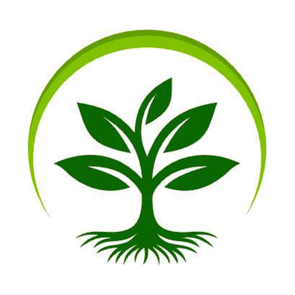 Divyanshi Nursery logo