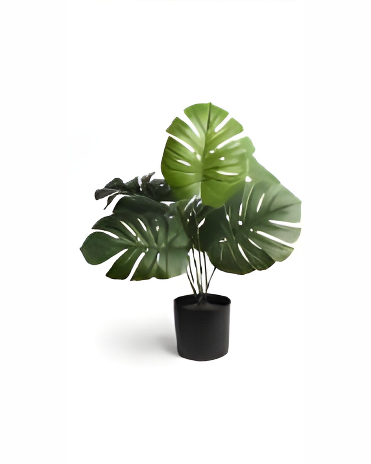 Artificial Monstera Plant with Large Leaves