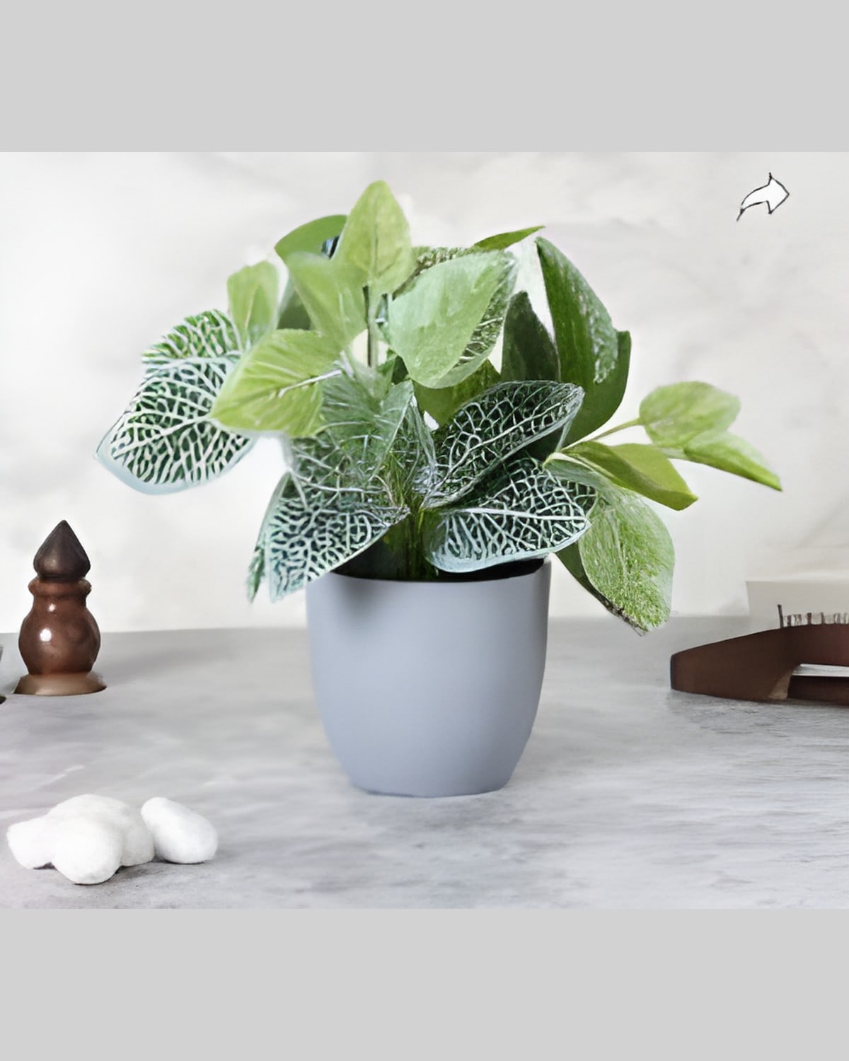 Artificial Fittonia Pot