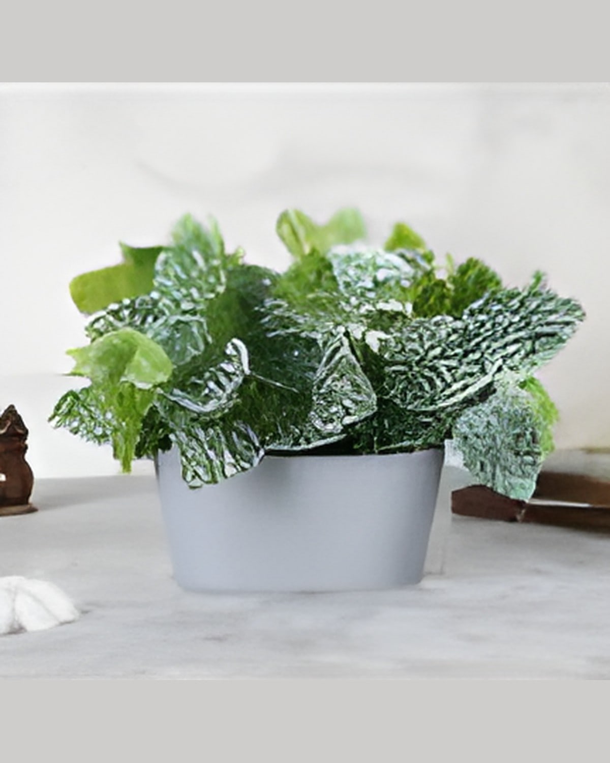 Artificial Fittonia Tray, Silver Leaves