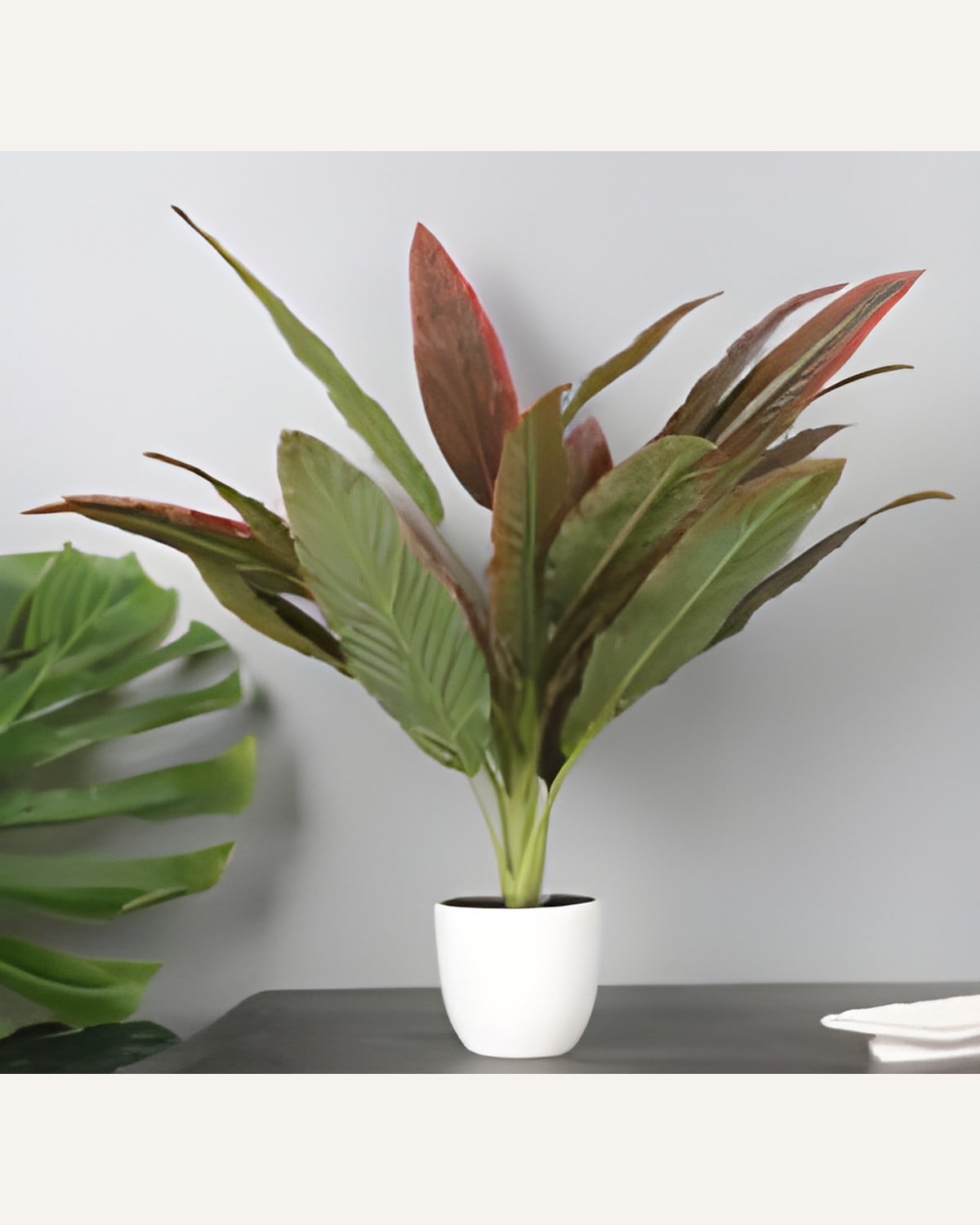 Artificial Aglaonema Plant