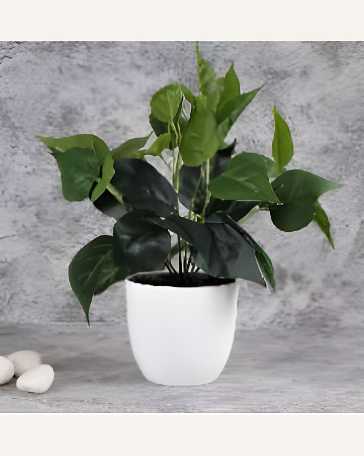 Artificial Philodendron Plant
