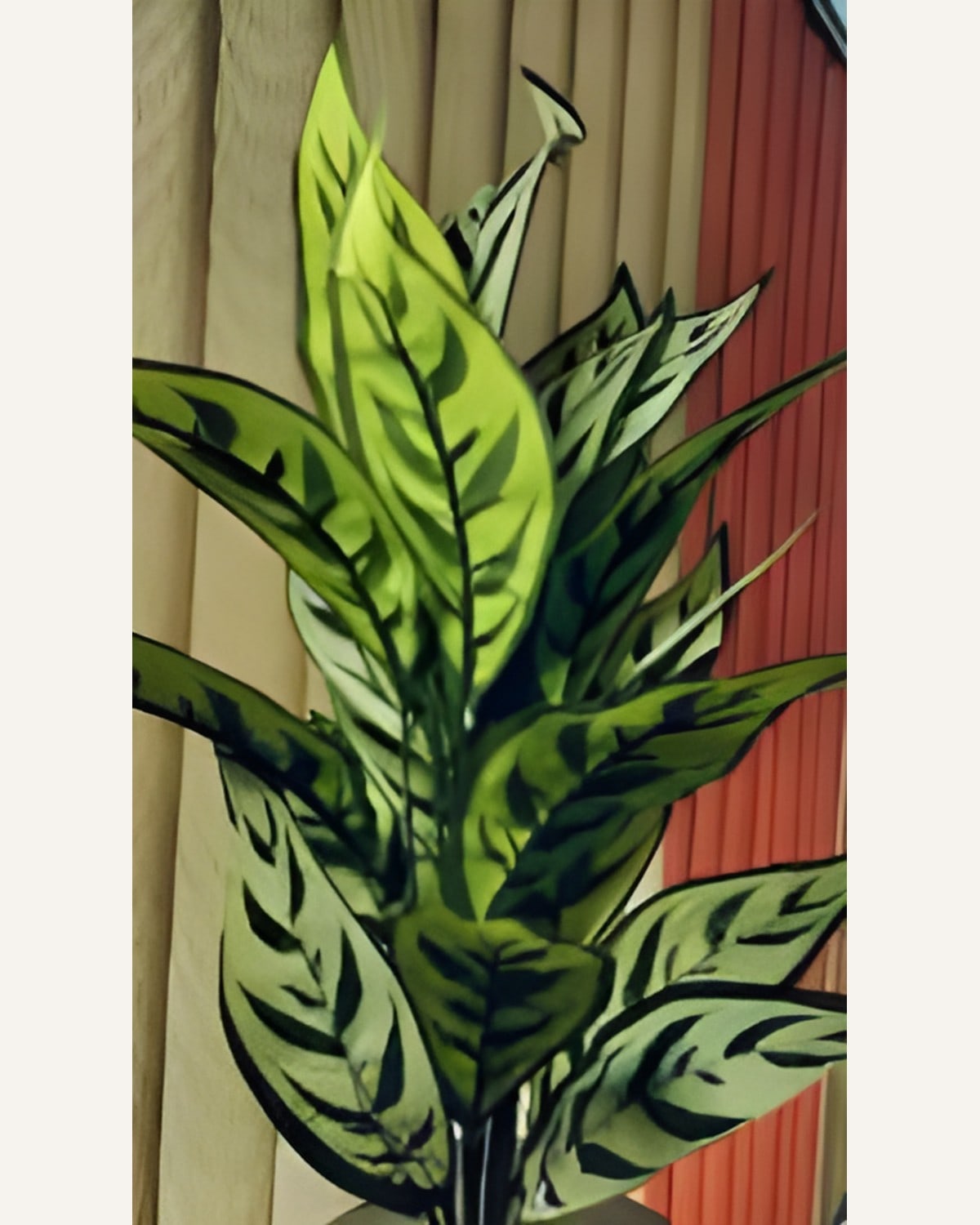 Artificial Plant for Home Decor