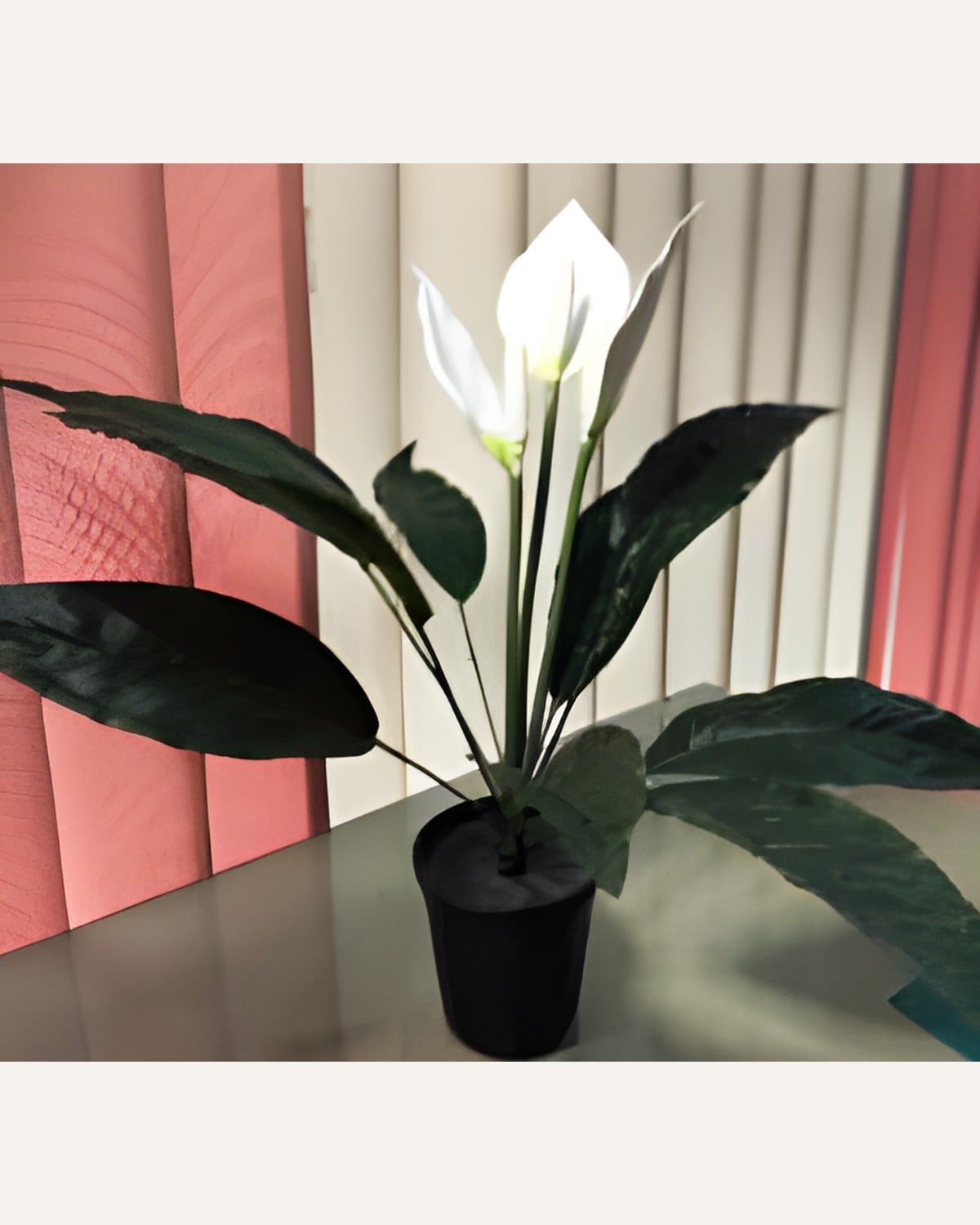 Artificial Peace Lily Plant, Small (1.5 Feet) with Pot