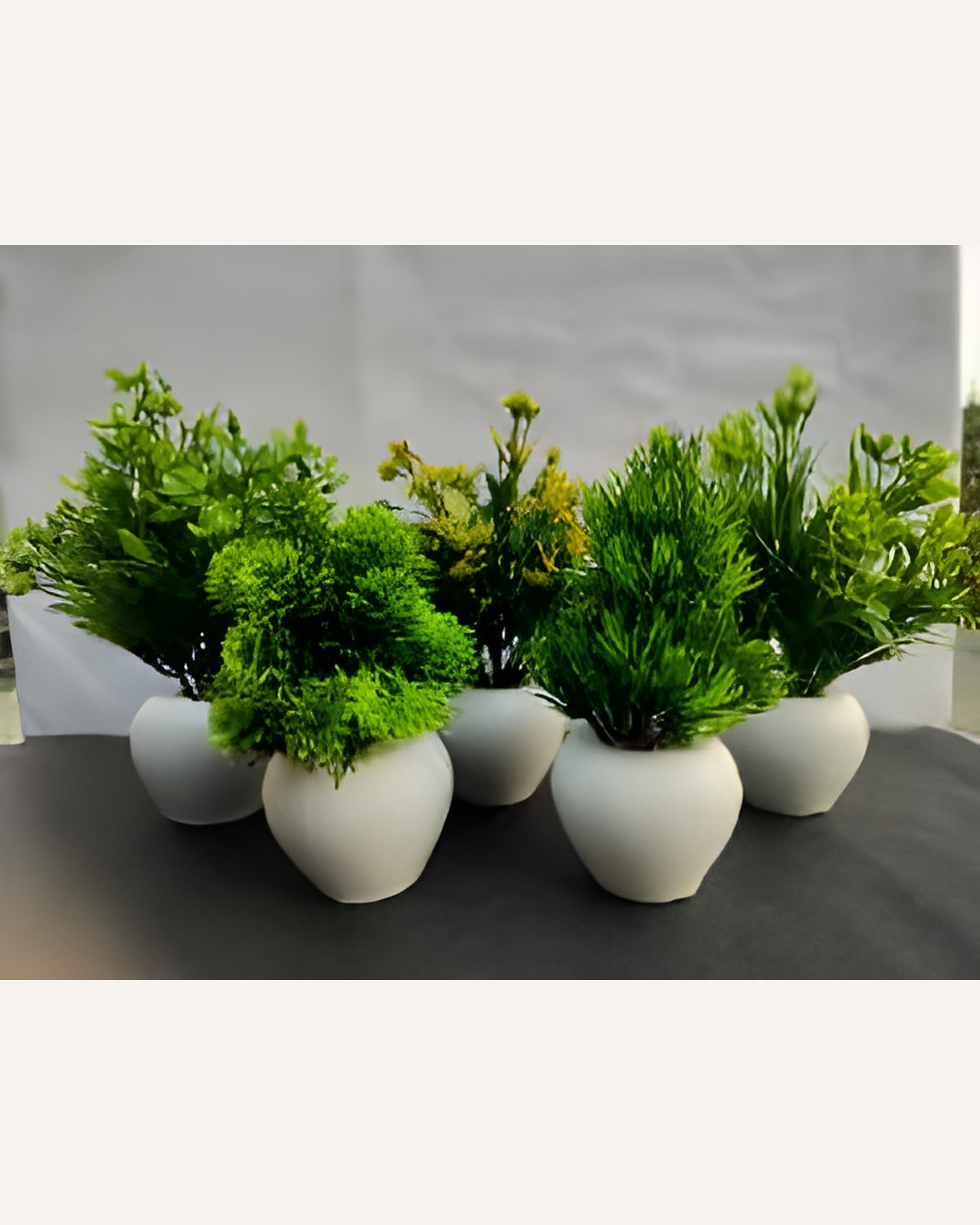Set of 5 Small Artificial Plants in Pots (8 Inch)