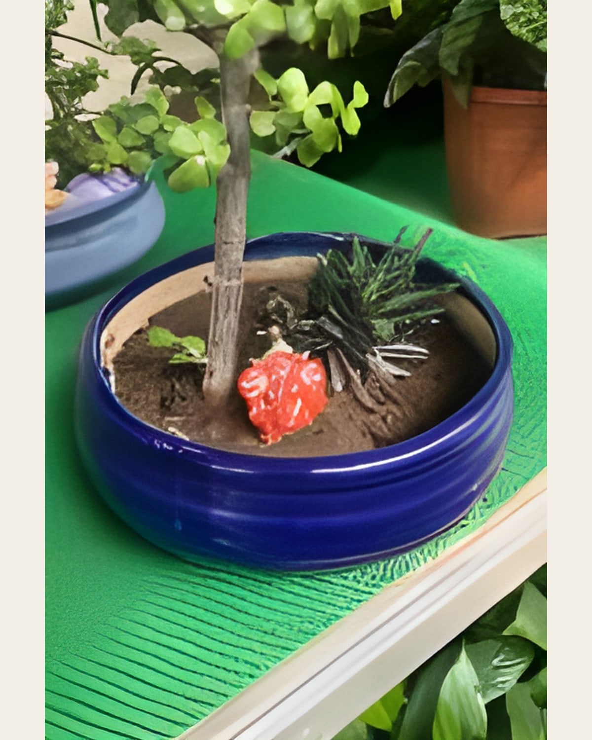 Ganeshji with Jade and Haworthia, Decorative Ceramic Pot