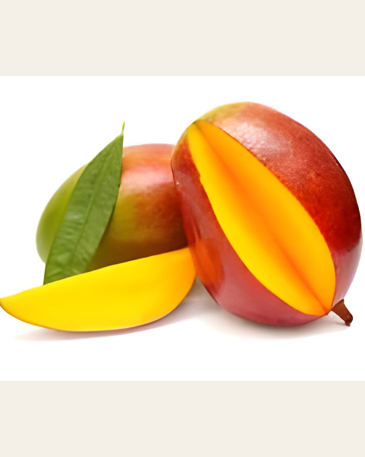 African Red Mango Plant