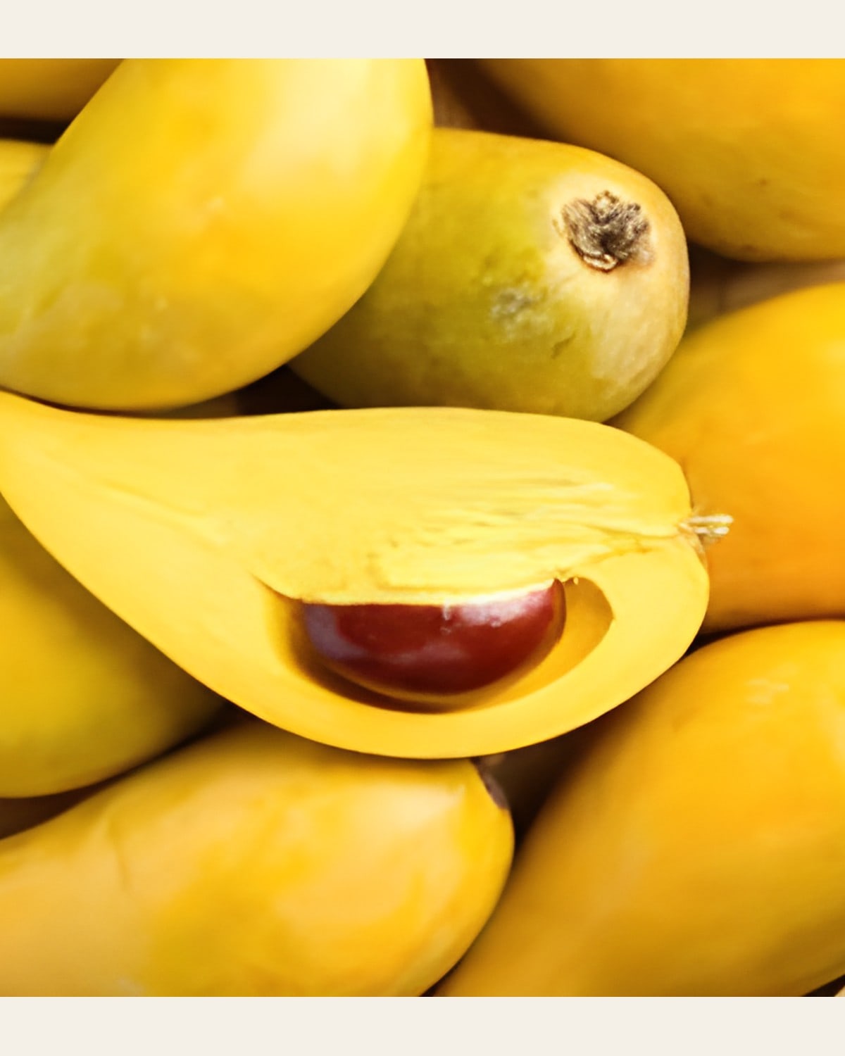 Egg Fruit Plant (Canistel)