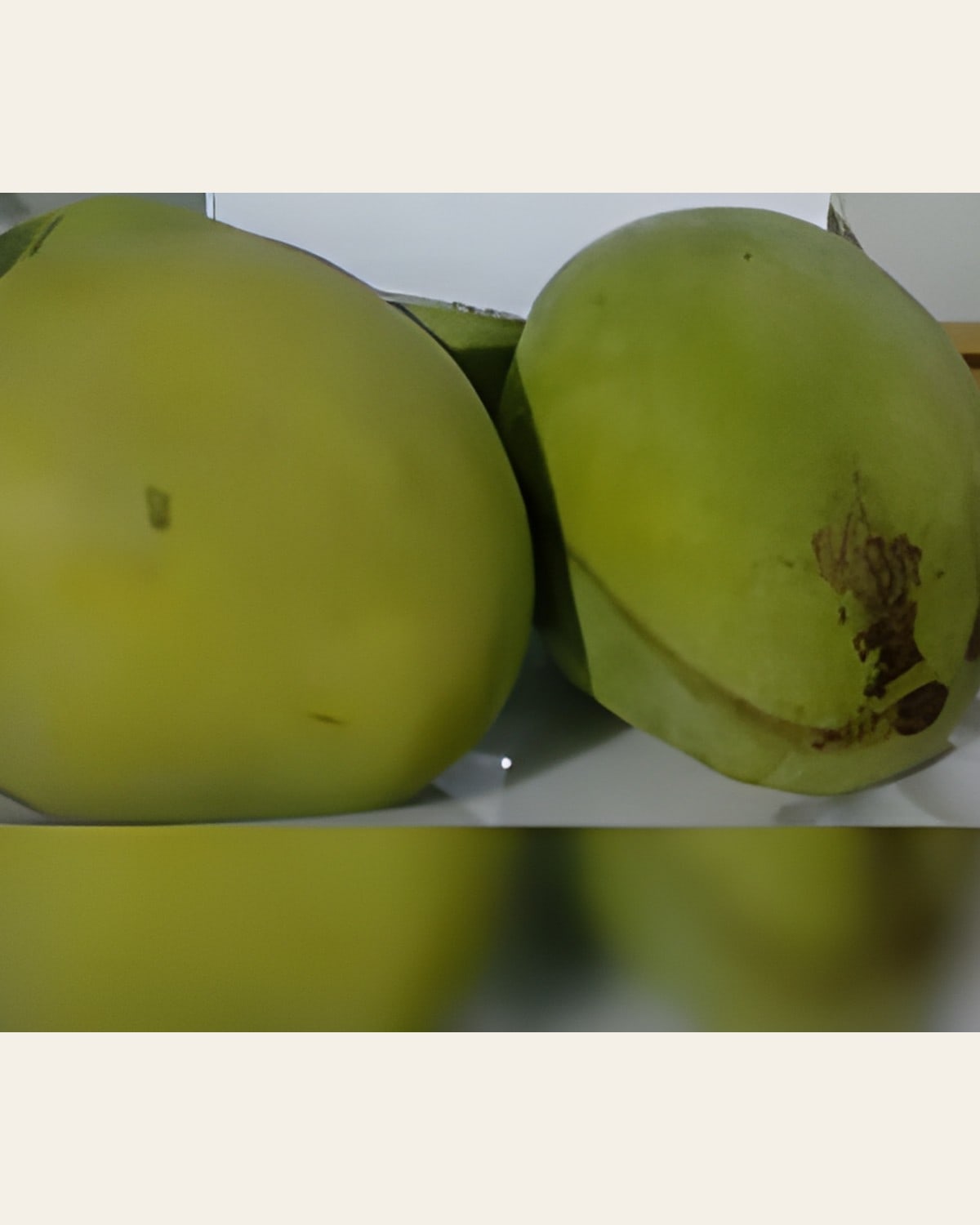 Gulab Jamun Mango Plant