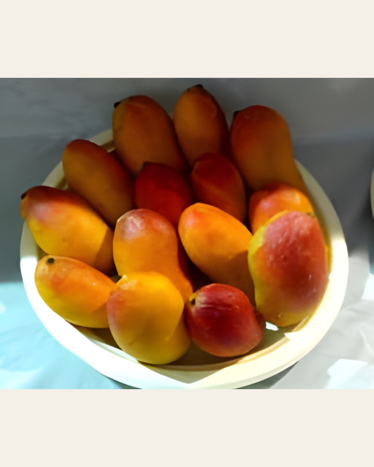Husnara Mango Plant (Najuk Badan, Grafted)