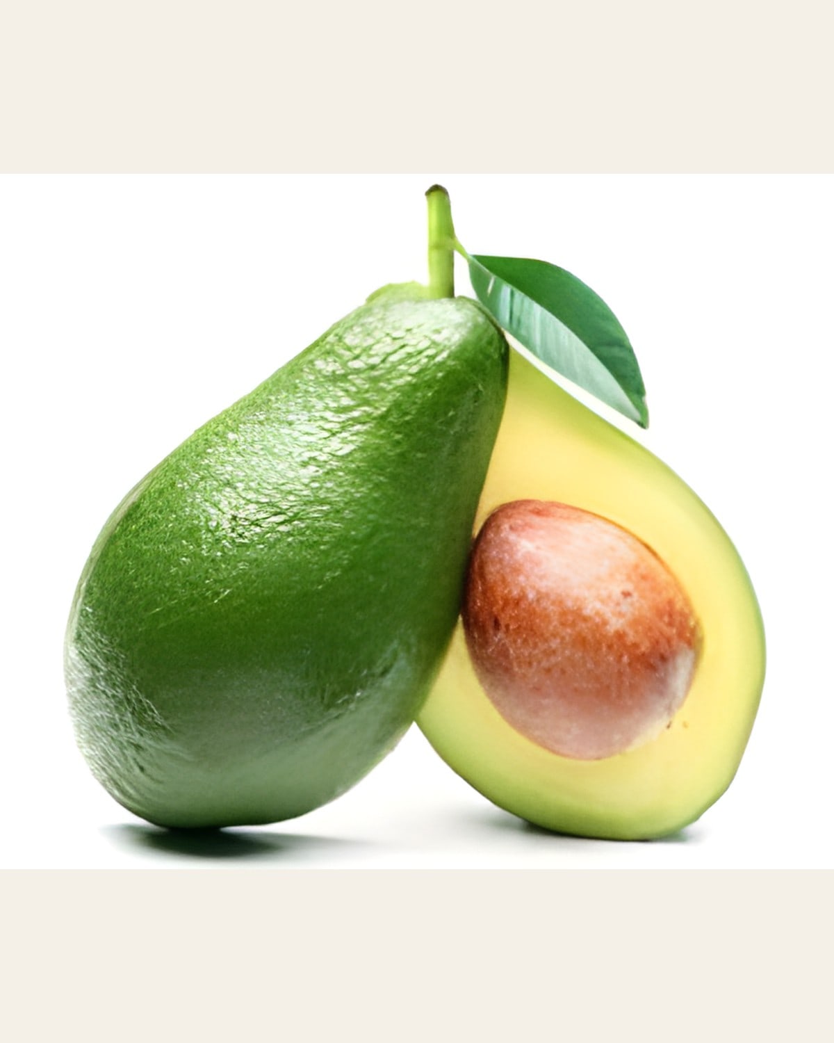 Hass Avocado Plant (Dwarf)