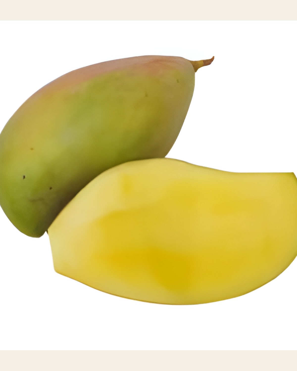Totapuri Mango Plant (Grafted)