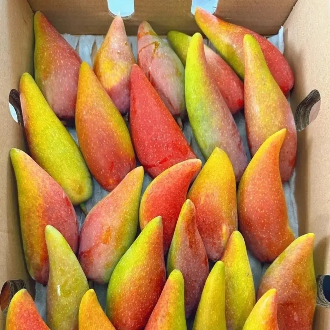 Chilli Mango Plant, image 2 of 2