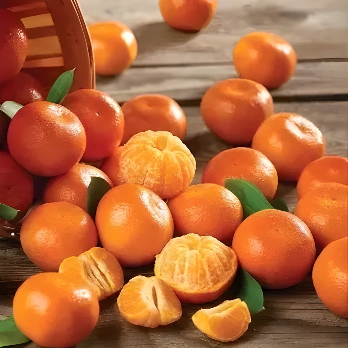 Mandarin Orange Plant