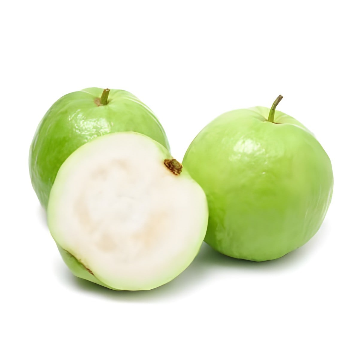 Seedless Guava Plant