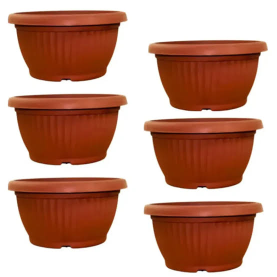 Bonsai tub pot