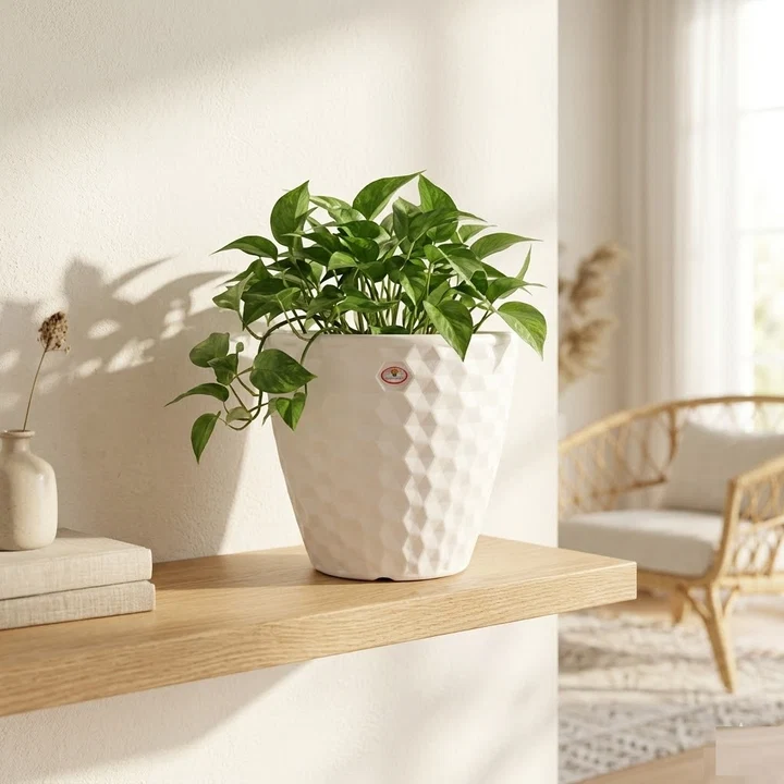 10 inch white pot