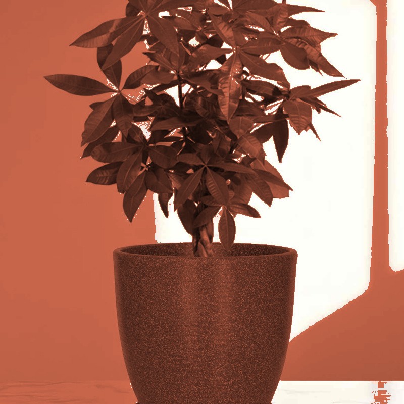 Houston planter, image 7 of 8