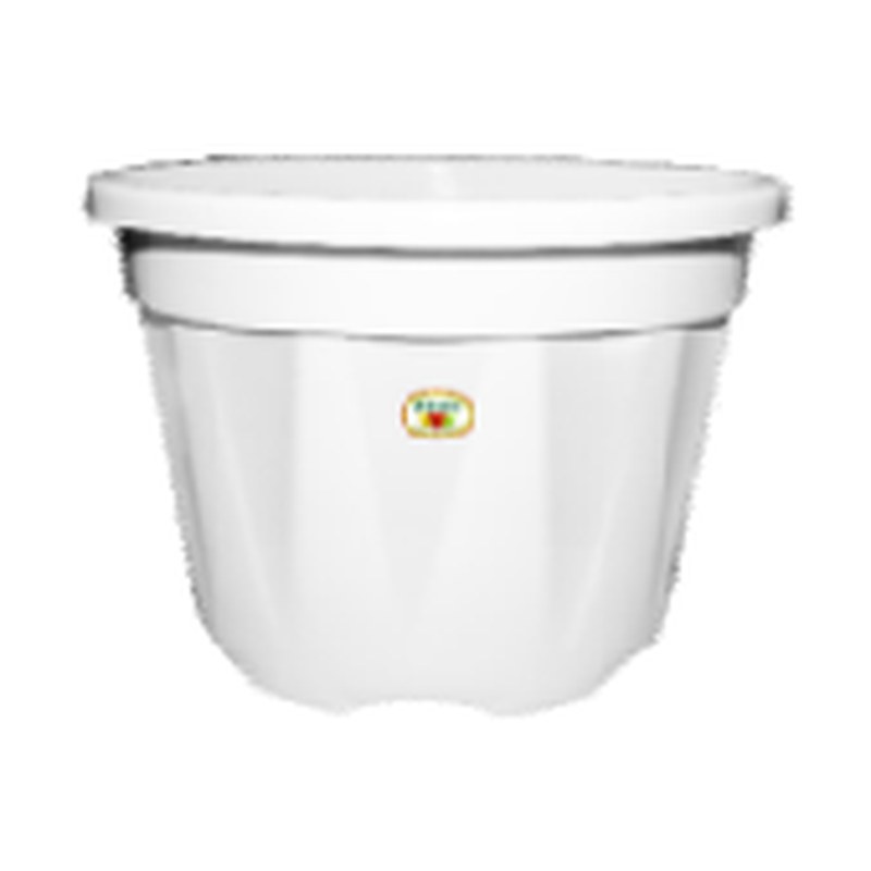Evergreen nursery pot - 8"