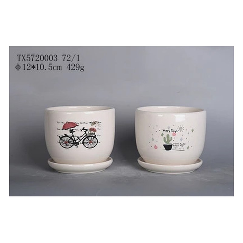 Bicycle and cactus print ceramic pot
