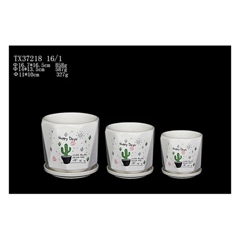 Cactus print ceramic pot set of 3