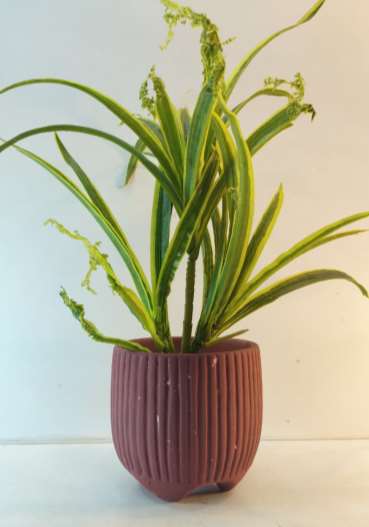 Terracotta planter 3077 A