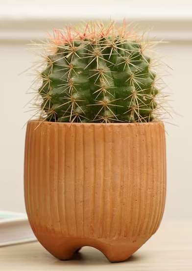 Terracotta planter 3077 B