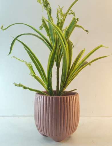 Terracotta planter 3077 C