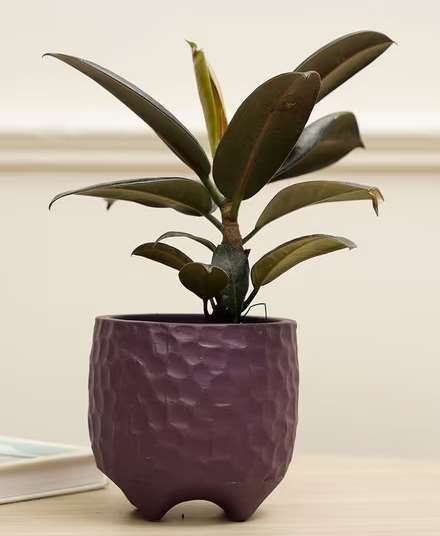 Terracotta planter 3078 A