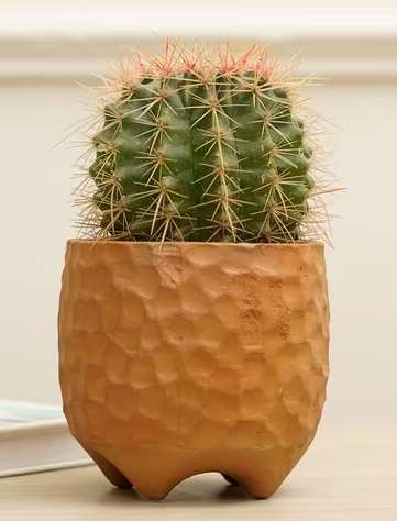 Terracotta planter 3078 B