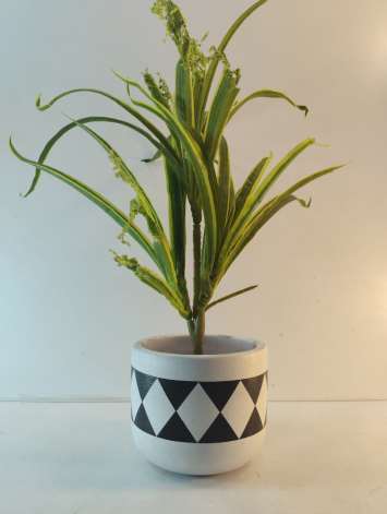 Terracotta planter 3081 A