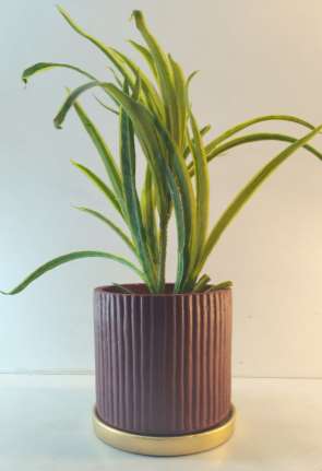 Terracotta planter 3085 D