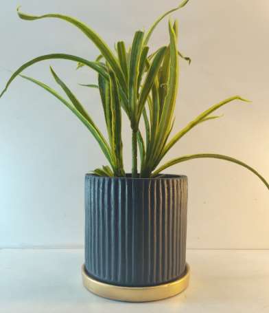 Terracotta planter 3085 E