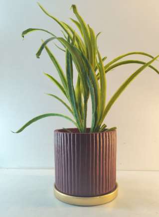 Terracotta planter 3086 D