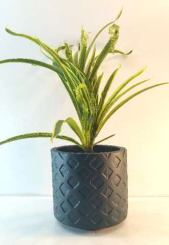 Terracotta planter 3048