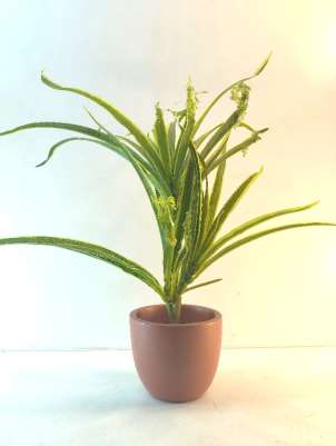 Terracotta planter 3031