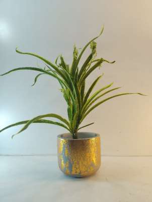 Terracotta planter 3033